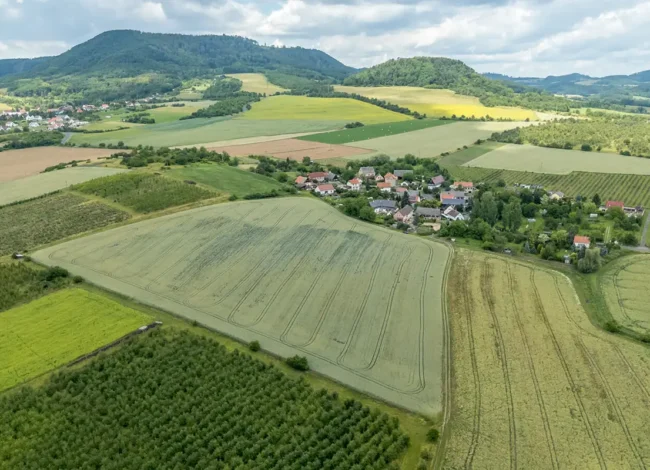 ploskovice 1