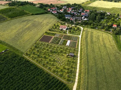ploskovice