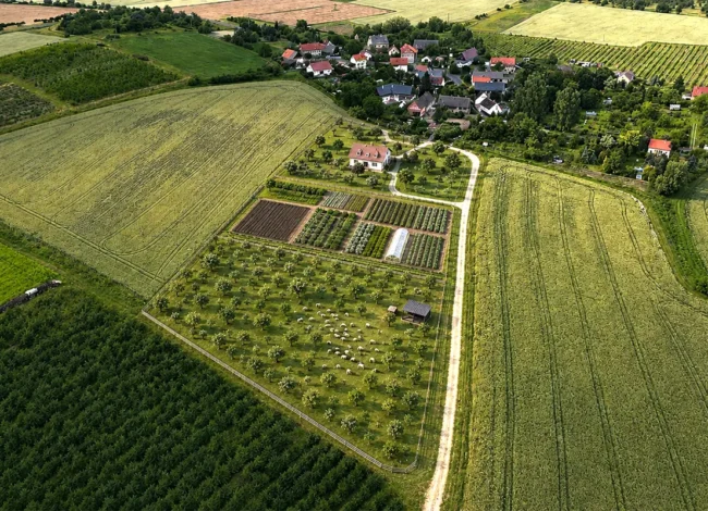 ploskovice