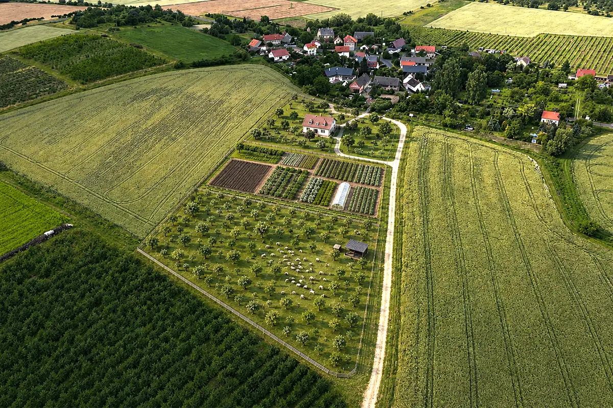 ploskovice